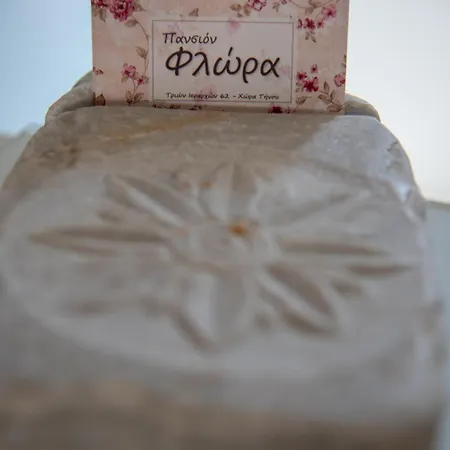 Casa de hóspedes Flora